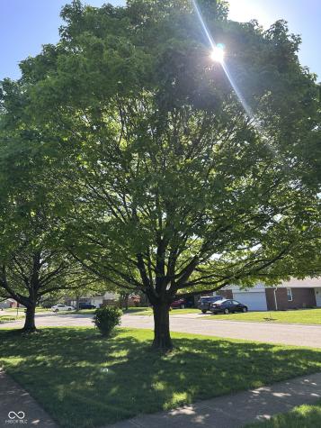 3752 Ironwood Drive Columbus IN 47203