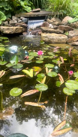 11416 Forest Knoll Circle Fishers IN 46037