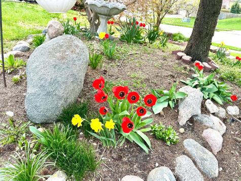 10747 Red Pine Drive Fishers IN 46037