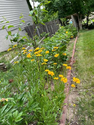 10747 Red Pine Drive Fishers IN 46037