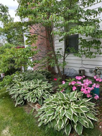 10747 Red Pine Drive Fishers IN 46037