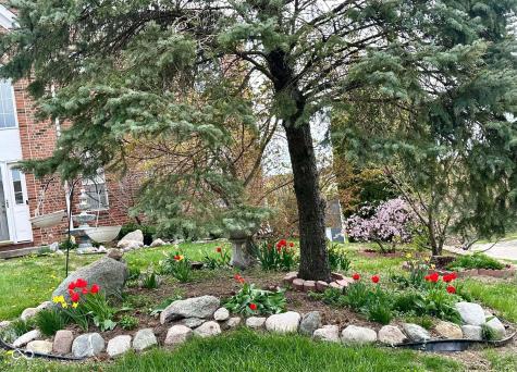 10747 Red Pine Drive Fishers IN 46037