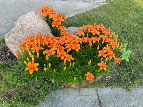 10747 Red Pine Drive Fishers IN 46037