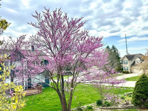 10747 Red Pine Drive Fishers IN 46037