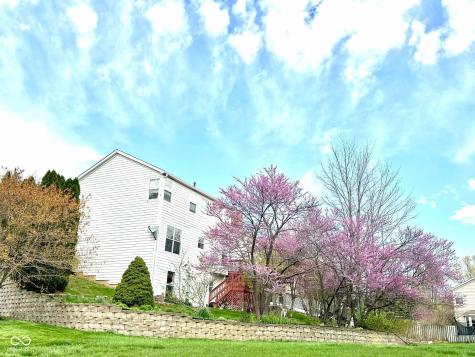 10747 Red Pine Drive Fishers IN 46037