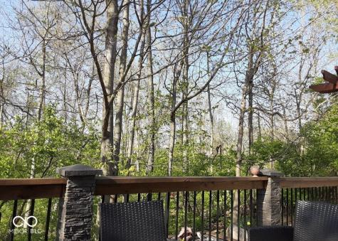 10272 New Dawn Place Avon IN 46123