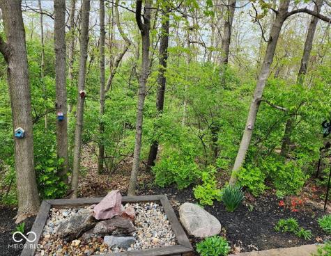 10272 New Dawn Place Avon IN 46123