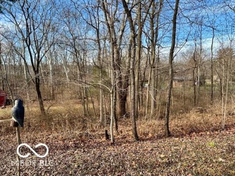 656 Spring Hills Drive Zionsville IN 46077