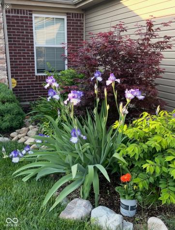 1511 Amberwoods Court Indianapolis IN 46239
