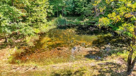 4385 Wilbur Road Martinsville IN 46151