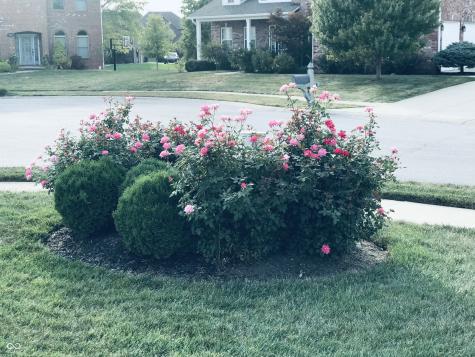396 Morningside Drive Brownsburg IN 46112