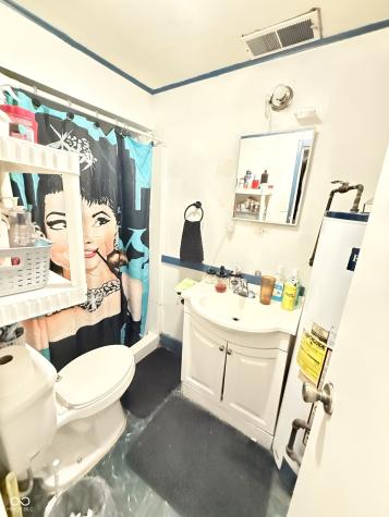 1736 S Belmont Avenue Indianapolis IN 46221