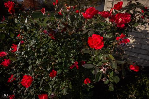 1488 Hideaway Circle Brownsburg IN 46112