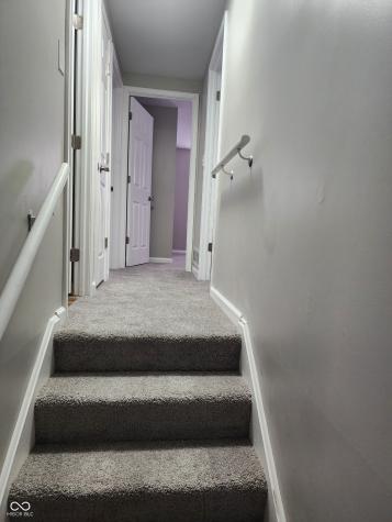 8738 Walma Drive Indianapolis IN 46219