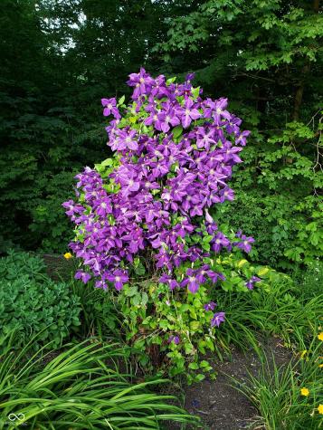 13 Ridgeline Drive Brownsburg IN 46112