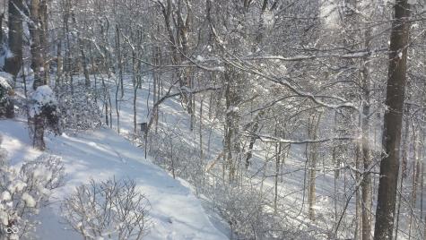 13 Ridgeline Drive Brownsburg IN 46112