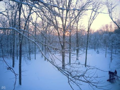 13 Ridgeline Drive Brownsburg IN 46112