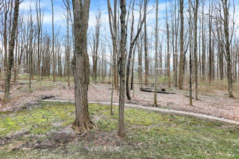 11565 Trail Ridge Place Zionsville IN 46077