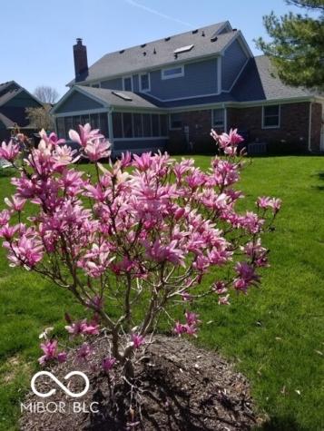 1385 Stoney Creek Circle Carmel IN 46032