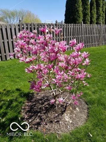 1385 Stoney Creek Circle Carmel IN 46032