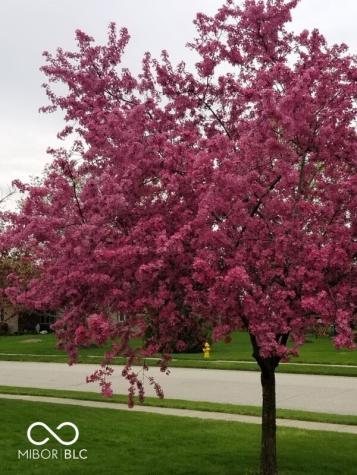 1385 Stoney Creek Circle Carmel IN 46032