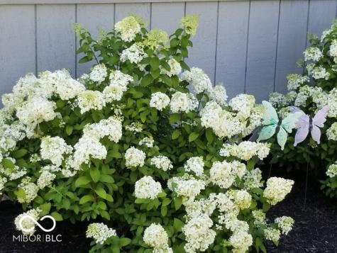 1385 Stoney Creek Circle Carmel IN 46032