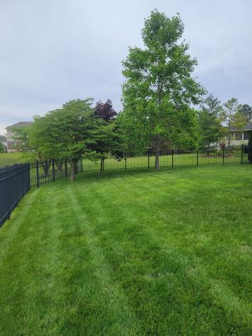 3856 Meadow Side Court Zionsville IN 46077