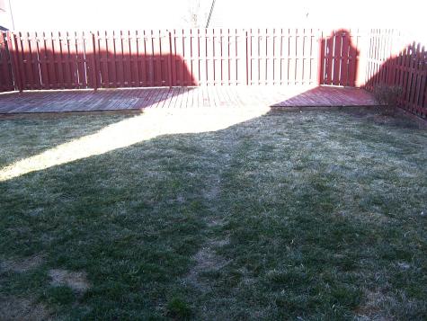 10944 Cedar Pine Drive Indianapolis IN 46235