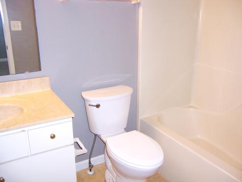 10944 Cedar Pine Drive Indianapolis IN 46235