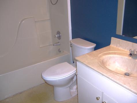 10944 Cedar Pine Drive Indianapolis IN 46235