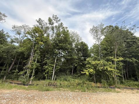 9894 Cassia Drive Carmel IN 46290