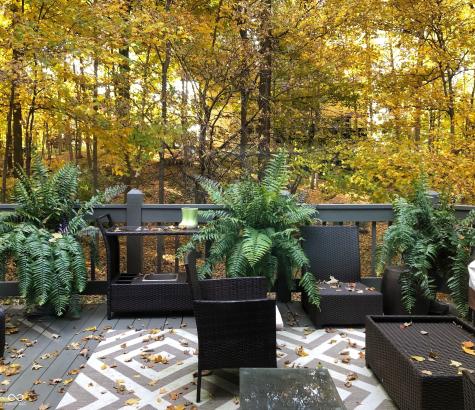 9767 Fortune Drive Fishers IN 46037