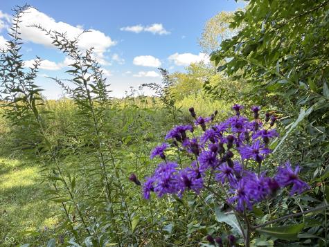 2710 E State Road 32 Crawfordsville IN 47933