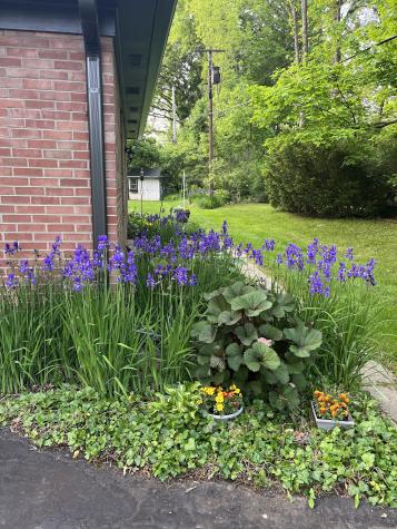 1022 Navajo Trail South Drive Indianapolis IN 46260
