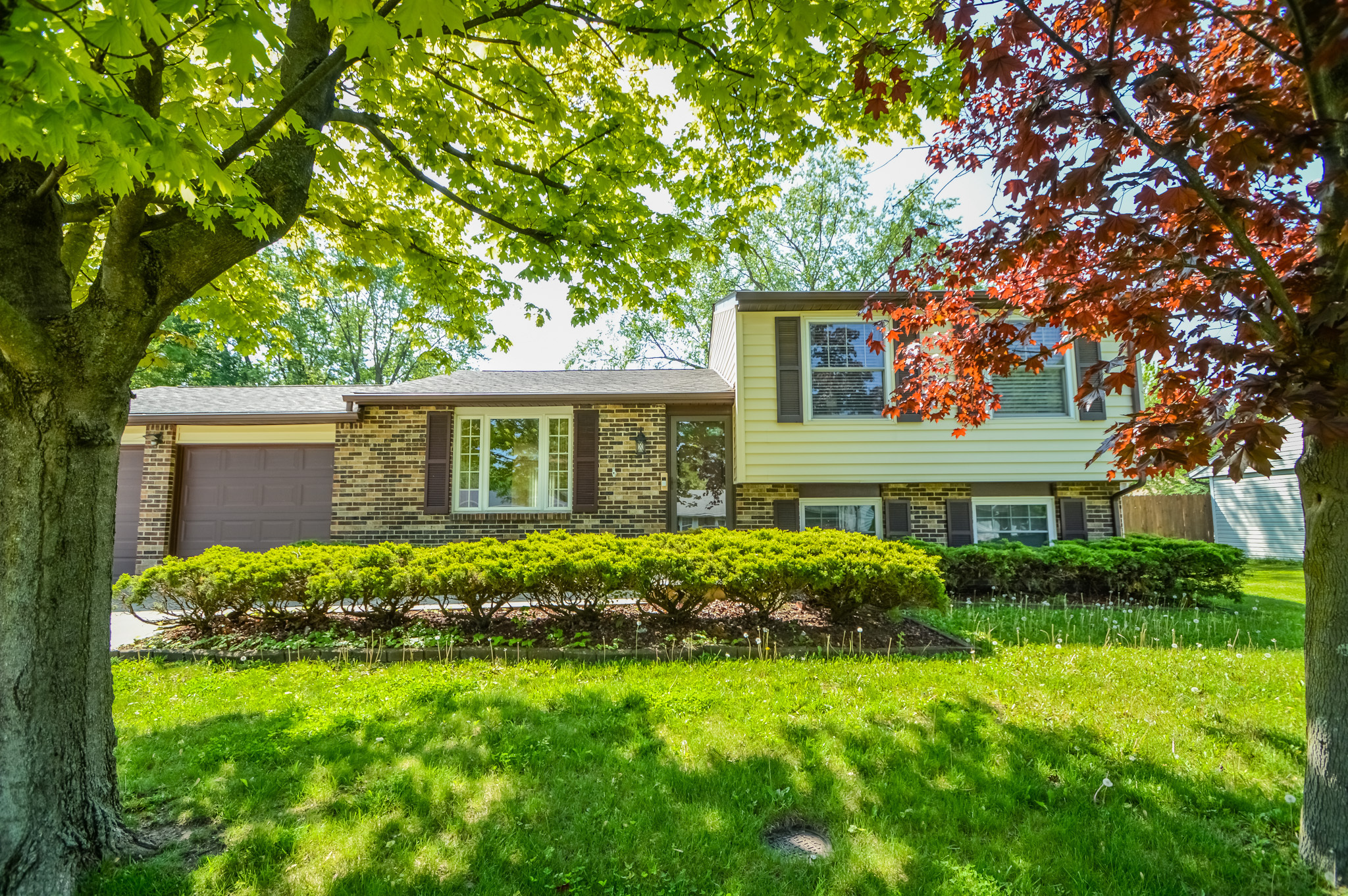 5427 Lobo Drive Indianapolis IN 46237