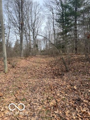 1161 Hornettown Road Morgantown IN 46160