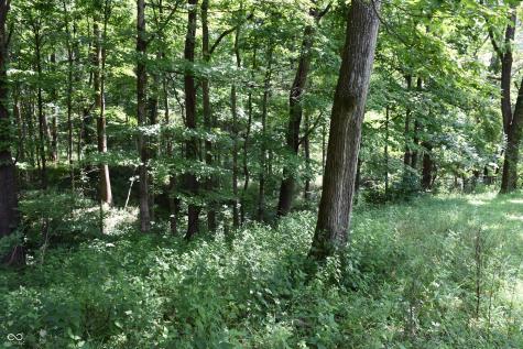 1715 Orchard Hills Road Martinsville IN 46151