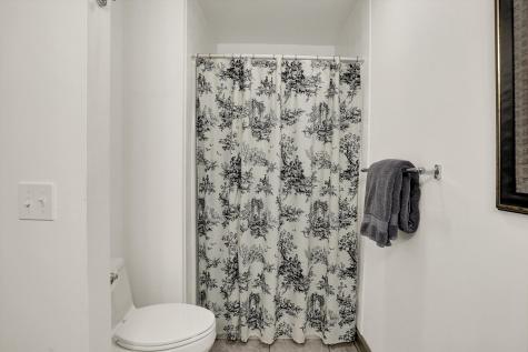 496 N Maple Street Zionsville IN 46077