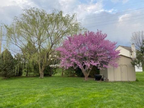 567 Shortleaf Drive Avon IN 46123