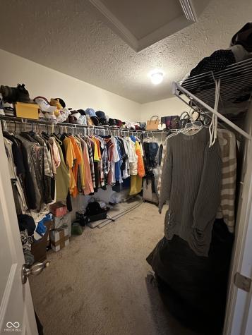 6749 Trey Drive Camby IN 46113