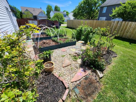 6136 Sandcherry Drive Indianapolis IN 46236
