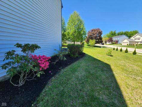 6136 Sandcherry Drive Indianapolis IN 46236