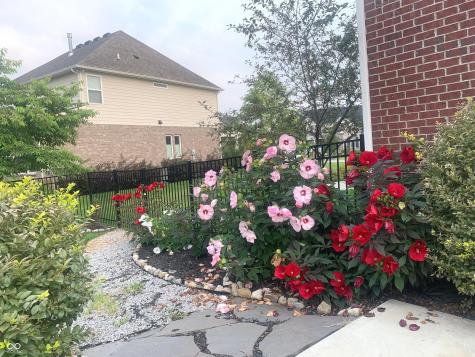 7173 Bellini Lane Indianapolis IN 46259