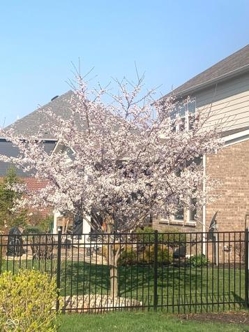 7173 Bellini Lane Indianapolis IN 46259