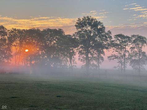 5679 S 675 W New Palestine IN 46163