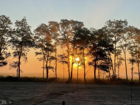 5679 S 675 W New Palestine IN 46163