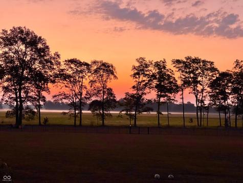 5679 S 675 W New Palestine IN 46163