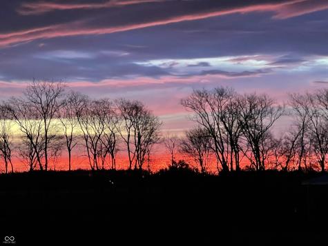 5679 S 675 W New Palestine IN 46163