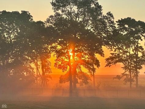 5679 S 675 W New Palestine IN 46163