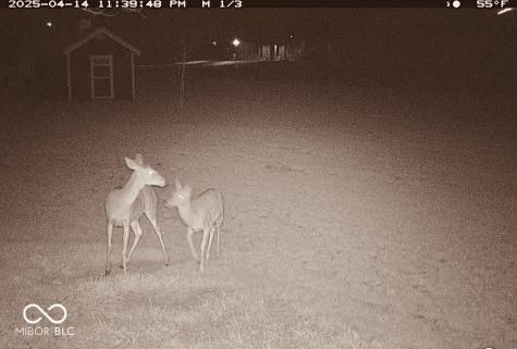 5679 S 675 W New Palestine IN 46163